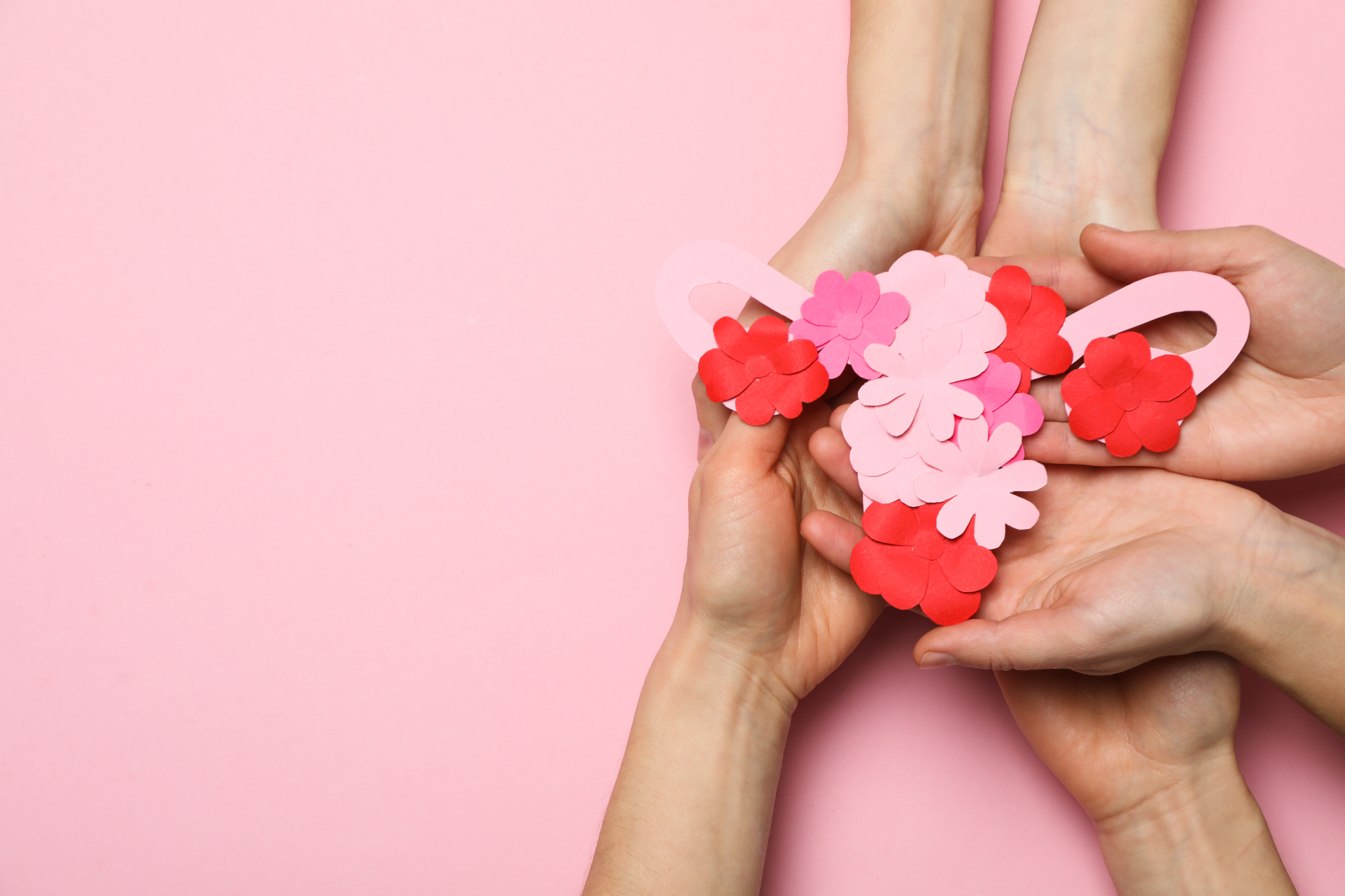 Expert gynecologist consulting a patient about common gynecology problems